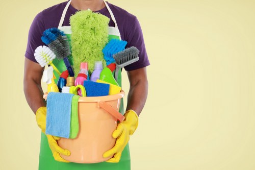 Carpet cleaning service terms and conditions introduction