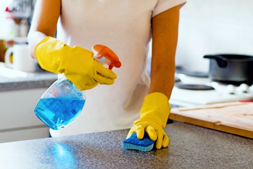 Preparing a sofa for upholstery cleaning with access and care checks
