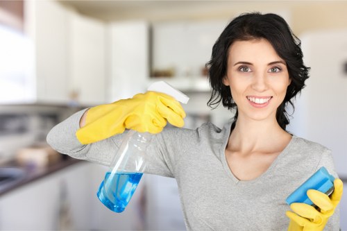 Regular house cleaning for a Surrey apartment