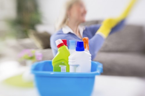 Governing law and agreement terms for carpet cleaning services