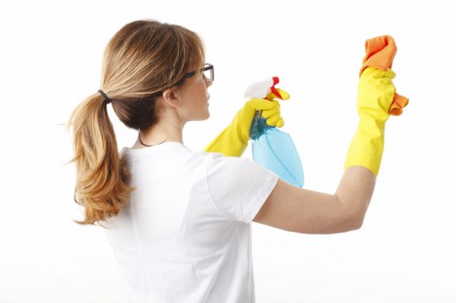 Targeted upholstery stain treatment for a sofa